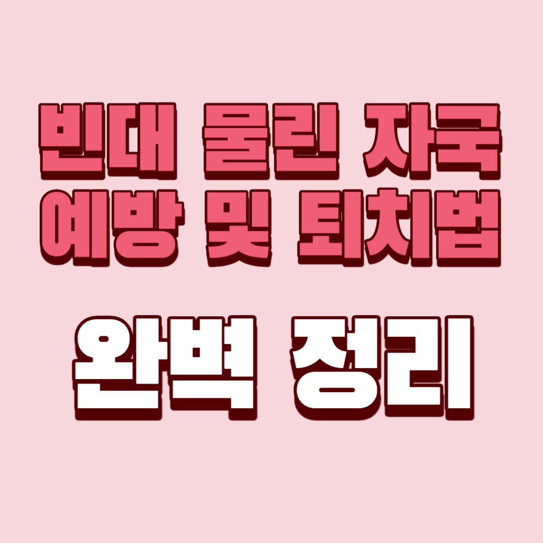 빈대 물린 자국 예방 및 퇴치법