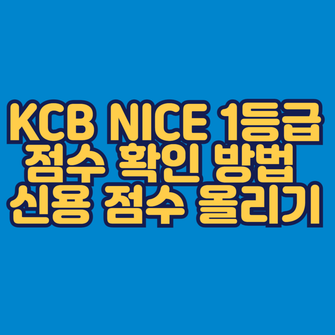 KCB NICE 1등급 점수 확인 방법 신용 점수 올리기