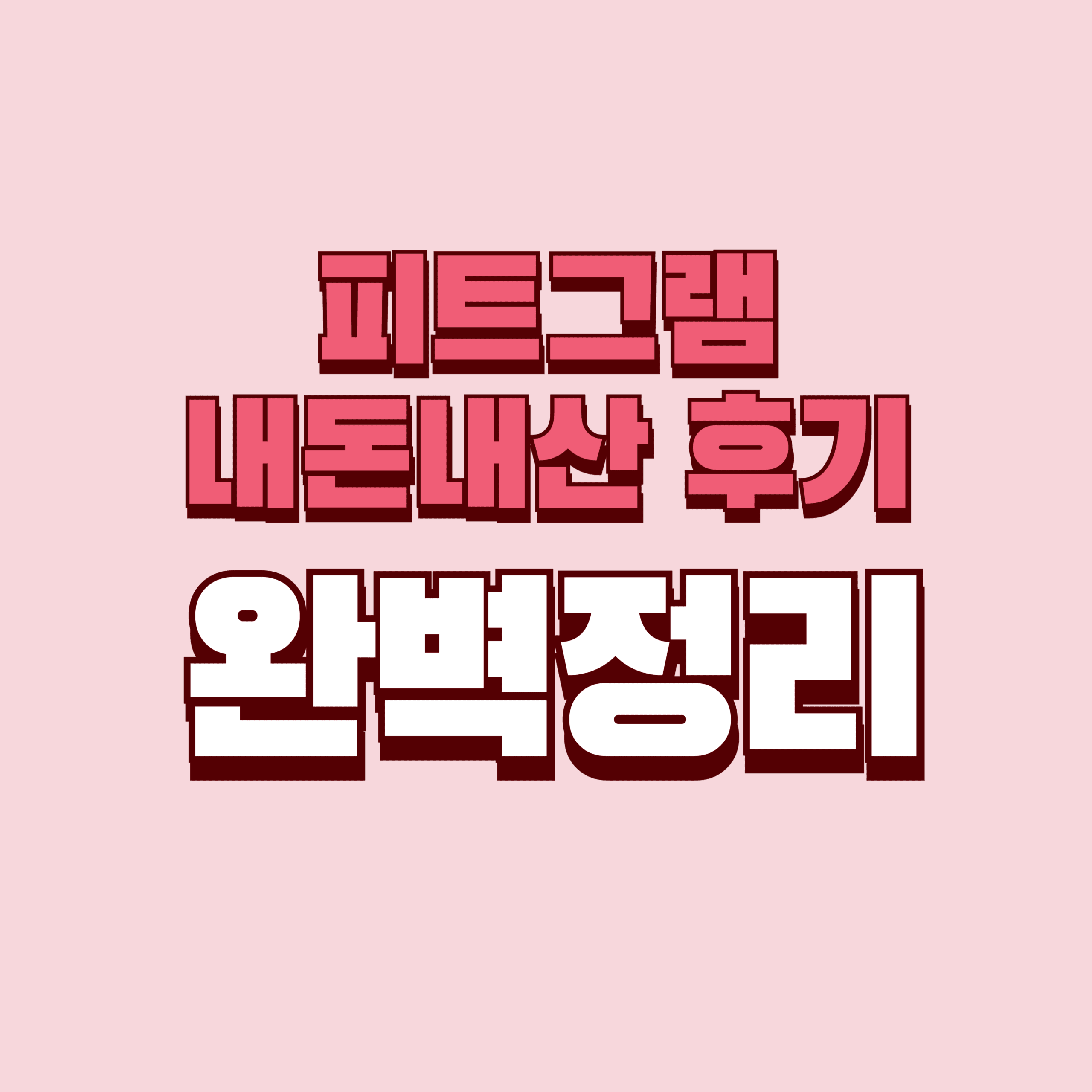 피트그램 내돈내산 후기 효과 단점 성분 가격 완벽정리