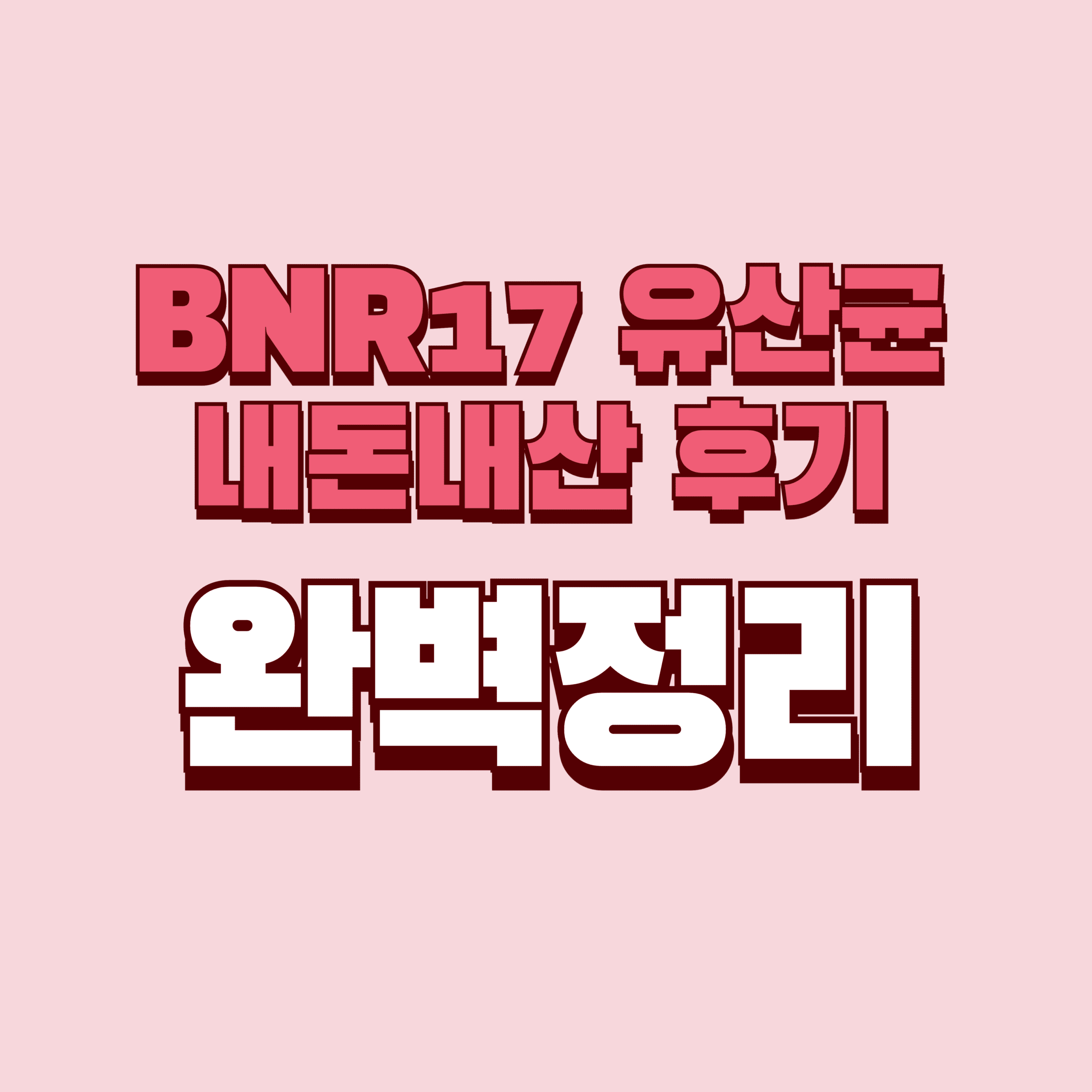 BNR17 유산균 내돈내산 후기 찐후기 효과 부작용 성분 단점 성분 가격 완벽정리